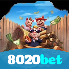 Problemas de Login no 8020bet