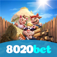 Problemas de Login no 8020bet