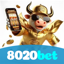 Problemas de Login no 8020bet